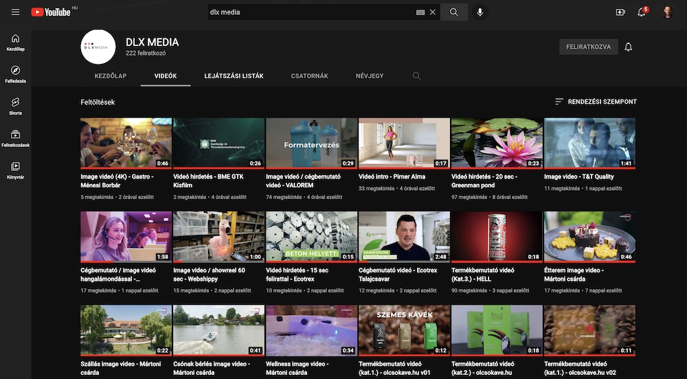 dlx media referenciák youtube csatorna